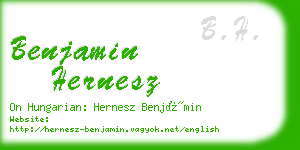 benjamin hernesz business card